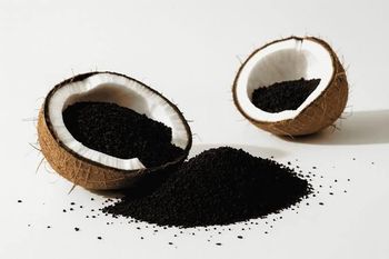 Premium Indonesia Coconut Shell Activated Carbon | High Iodine Value | Water & Air Purification Grade | Export Quality from PT SAWA GLOBAL INDONESIA Premium Indonesia Coconut Shell Activated Carbon | High Iodine Value | Water & Air Purification Grade | Export Quality - PT SAWA GLOBAL INDONESIA - Indonesia